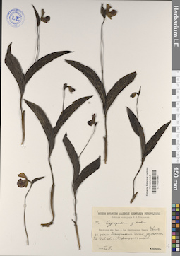 LE 01031580