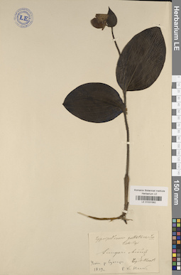 LE 01031582
