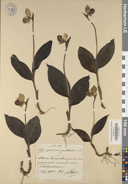 LE 01031583