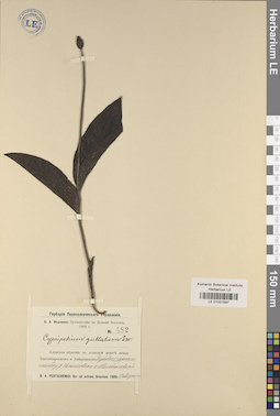 LE 01031587
