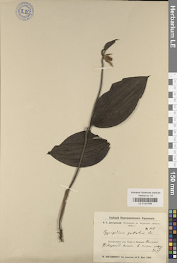 LE 01031588