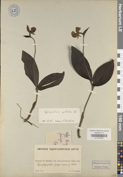LE 01031592