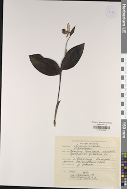 LE 01031600