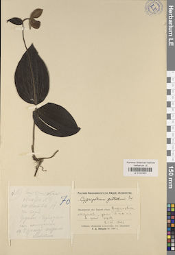 LE 01031601