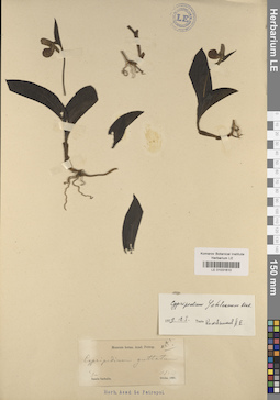 LE 01031610