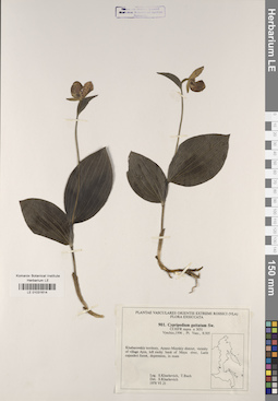 LE 01031614