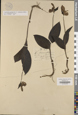 LE 01031618