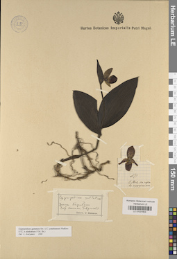 LE 01031624