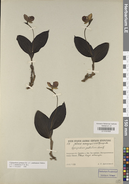 LE 01031625