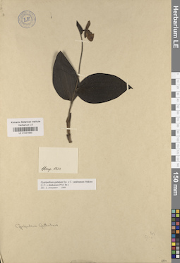 LE 01031630