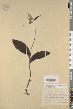 LE 01031634