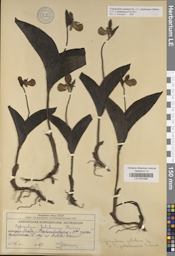 LE 01031636