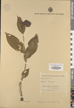 LE 01031644