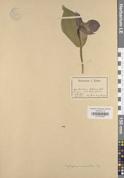 LE 01031645