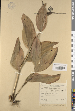 LE 01031646