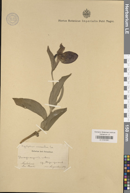 LE 01031651