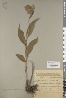 LE 01031661