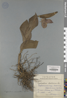 LE 01031662