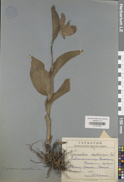 LE 01031663