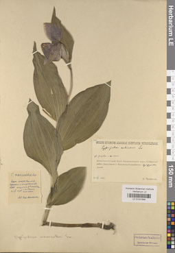 LE 01031669