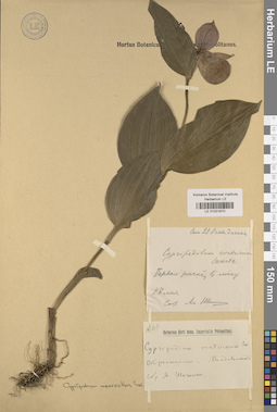LE 01031670