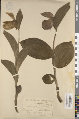 LE 01031671