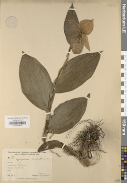 LE 01031672