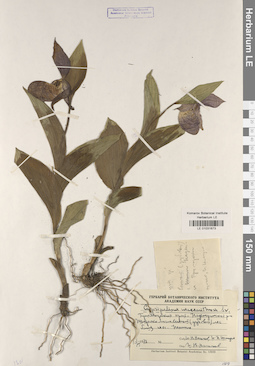 LE 01031673