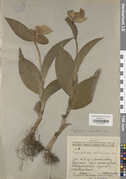 LE 01031674