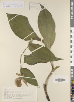 LE 01031676