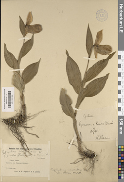 LE 01031688