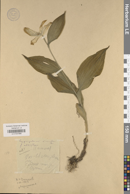 LE 01031689