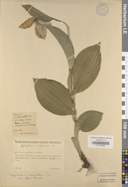 LE 01031692