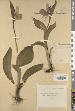 LE 01031693