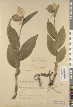 LE 01031694