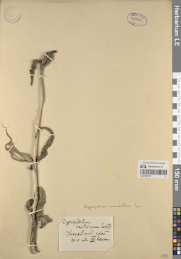 LE 01251179