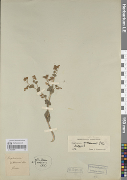LE 01225809