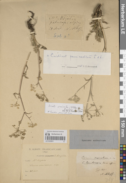 LE 01225815