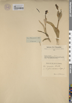 LE 01241721