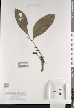 LE 01253058