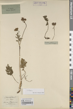 LE 01225835