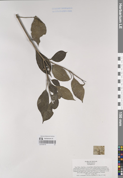 LE 01253110