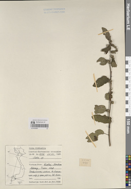 LE 01253201