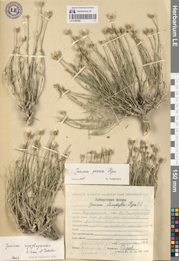 LE 01260566