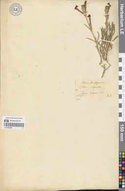 LE 01260606