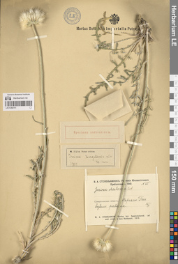 LE 01260751