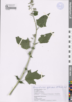 LE 01258324