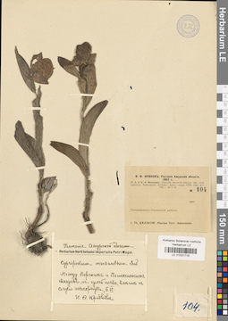 LE 01031716