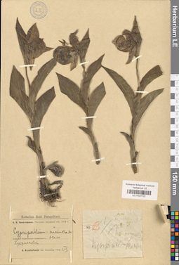 LE 01031722