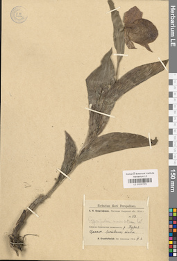 LE 01031723